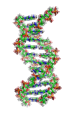 【贝斯特全球奢华基因检测】做先天性缺牙基因解码、<a href=http://www.35wfgg.com/tk/jiema/cexujishu/2021/31933.html>基因检测</a>需要到总部吗？